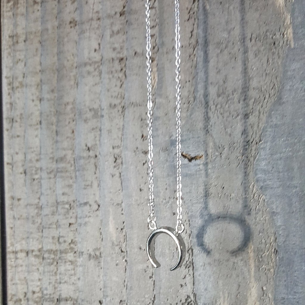 Lili Claspe Silver Double Horn Necklace New 40$